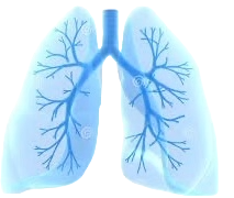 Lung Logo